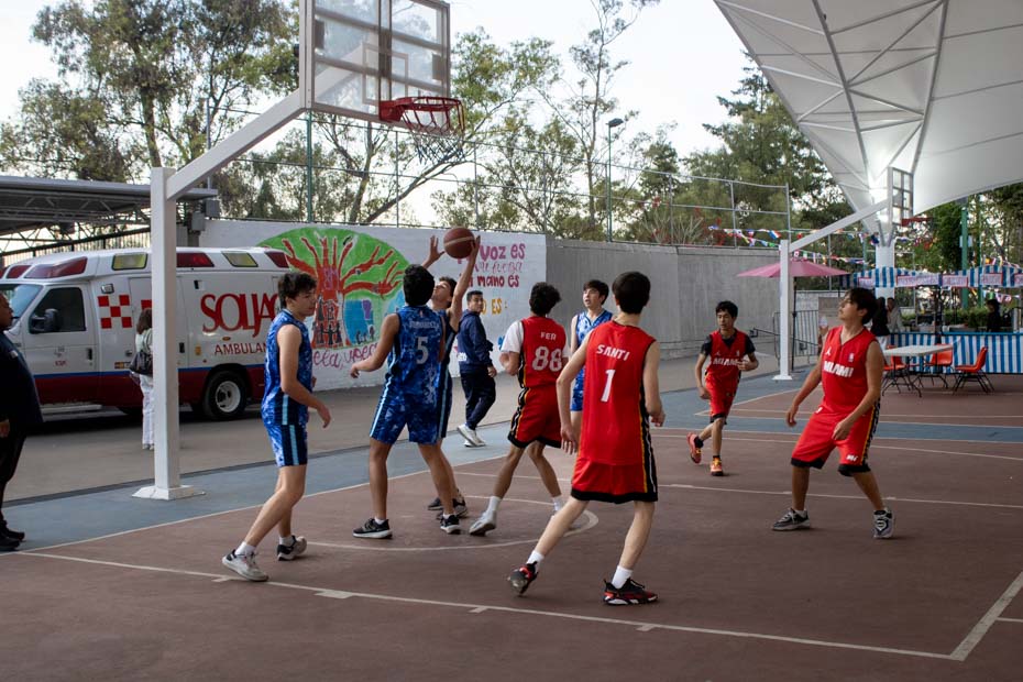 Ir a la Siguiente Foto