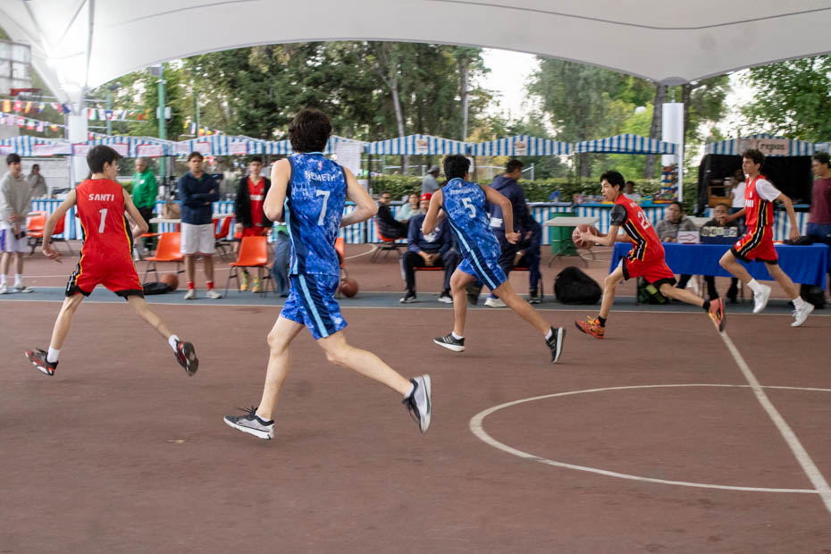 Ir a la Siguiente Foto