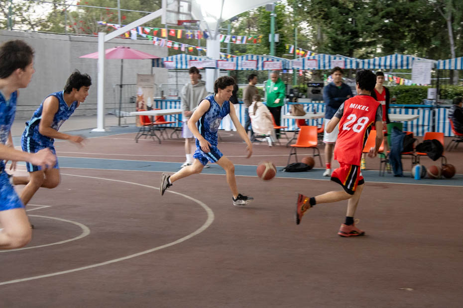 Ir a la Siguiente Foto