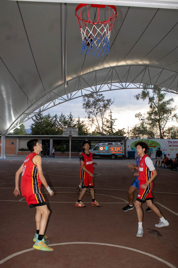 Ir a la Siguiente Foto