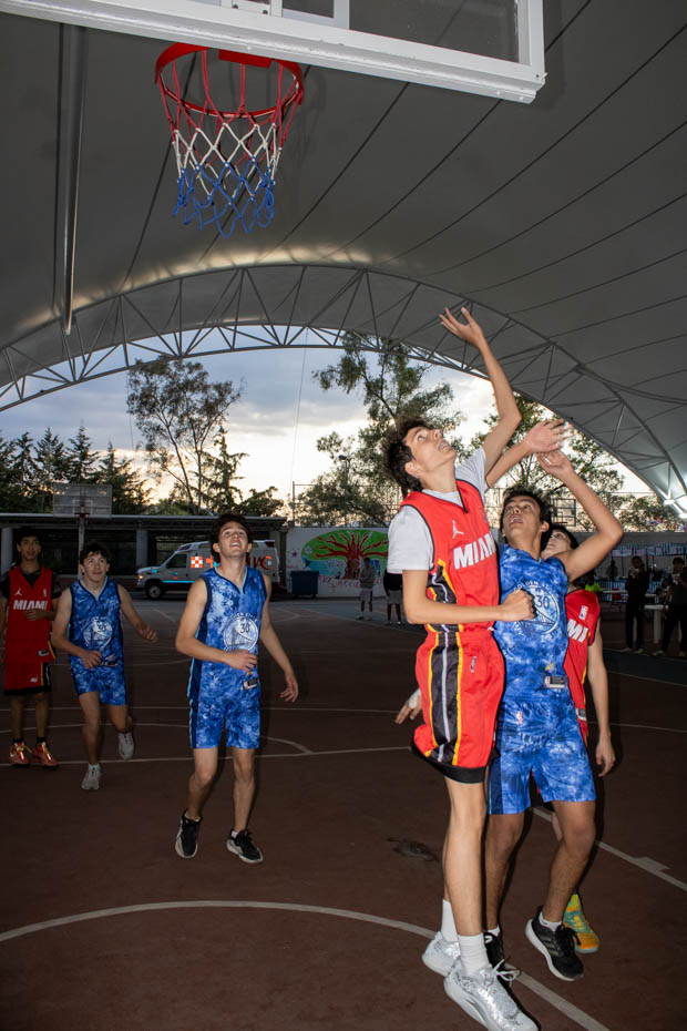 Ir a la Siguiente Foto