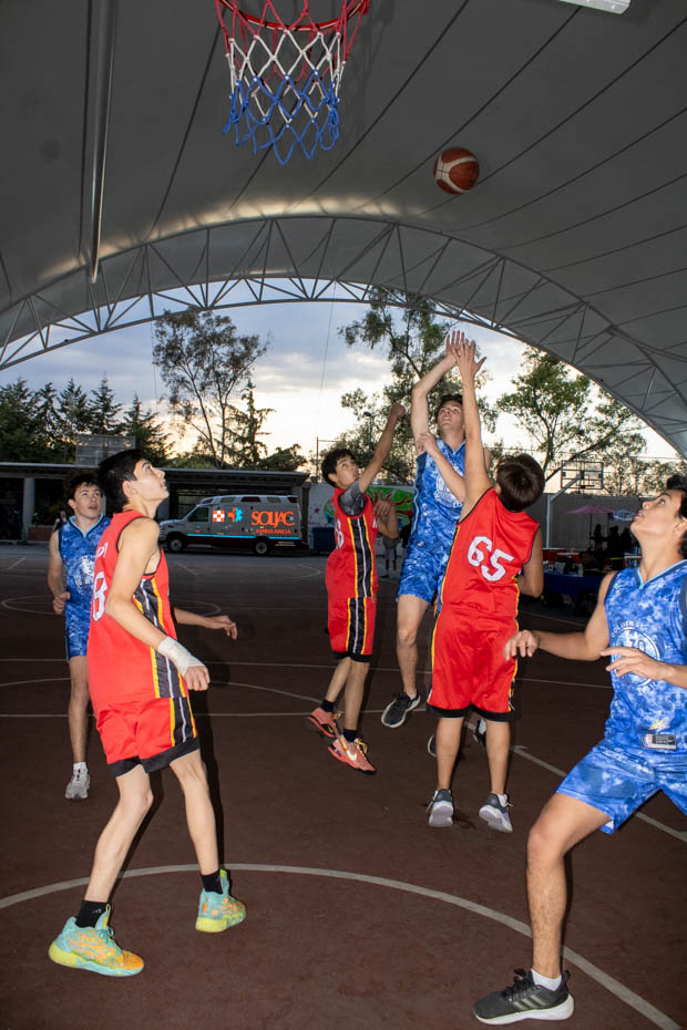 Ir a la Siguiente Foto