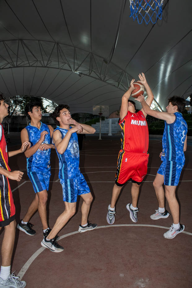 Ir a la Siguiente Foto