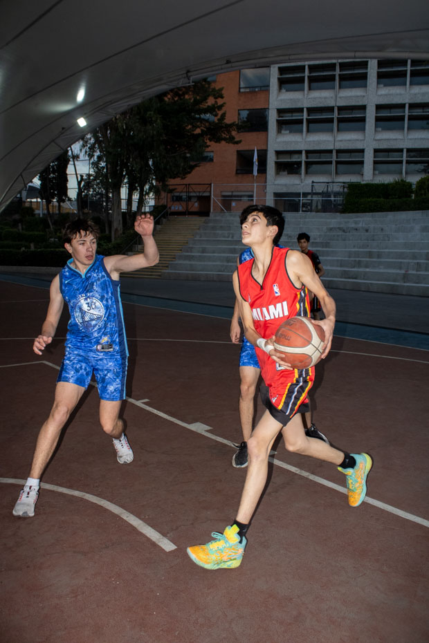 Ir a la Siguiente Foto