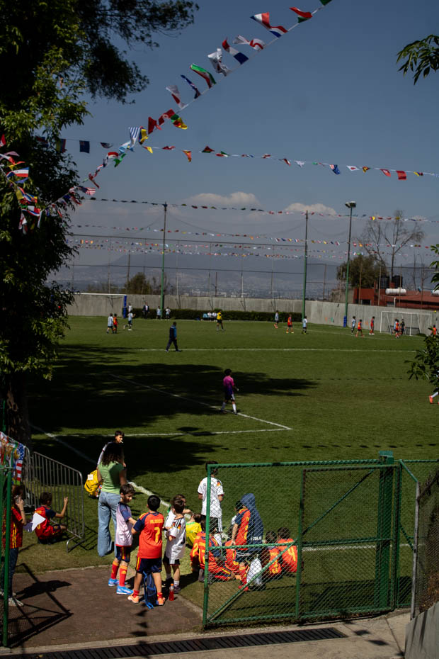 Ir a la Siguiente Foto