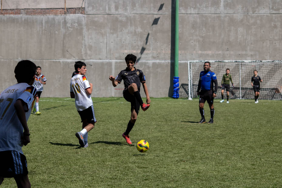 Ir a la Siguiente Foto