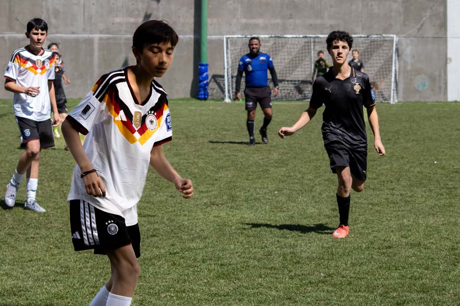 Ir a la Siguiente Foto