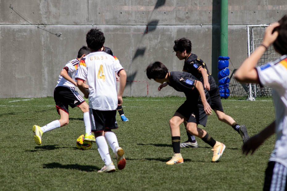 Ir a la Siguiente Foto