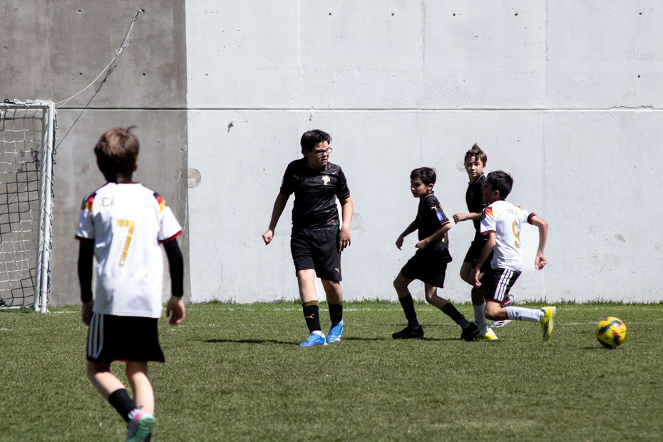 Ir a la Siguiente Foto