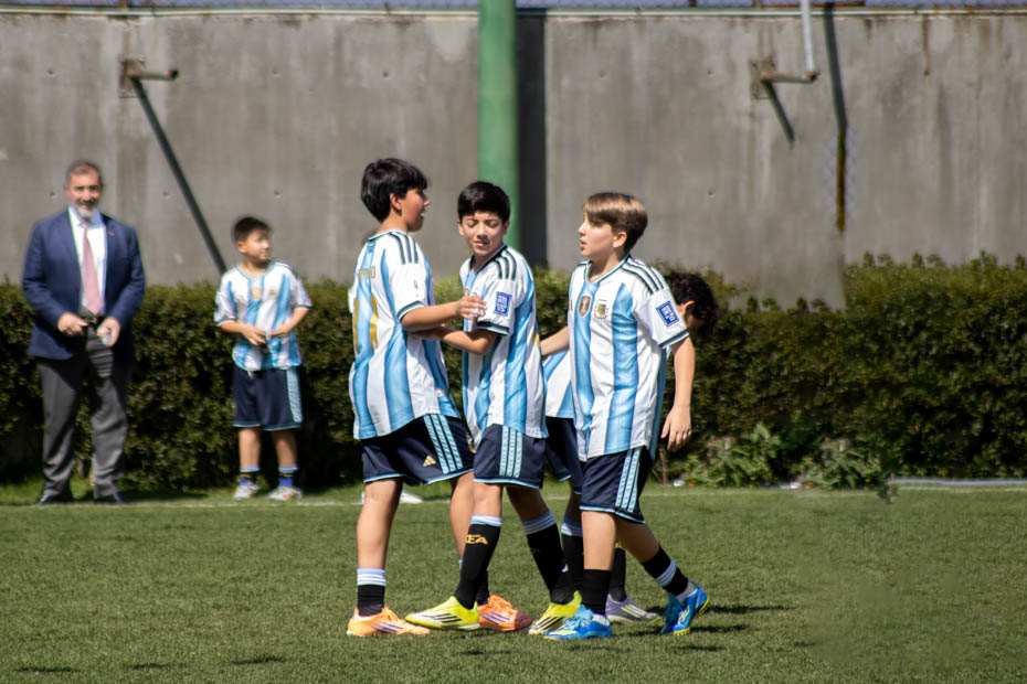 Ir a la Siguiente Foto