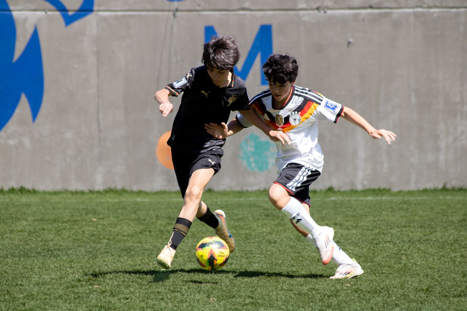 Ir a la Siguiente Foto