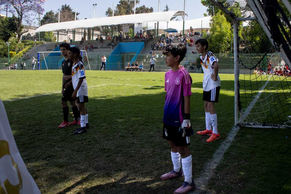 Ir a la Siguiente Foto