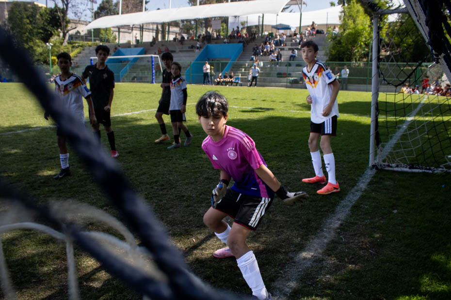 Ir a la Siguiente Foto