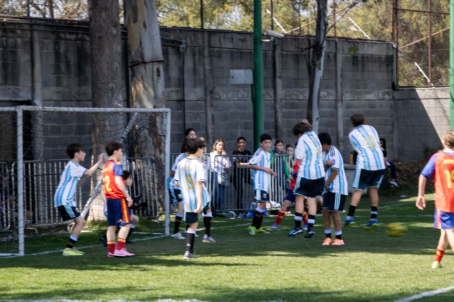 Ir a la Siguiente Foto