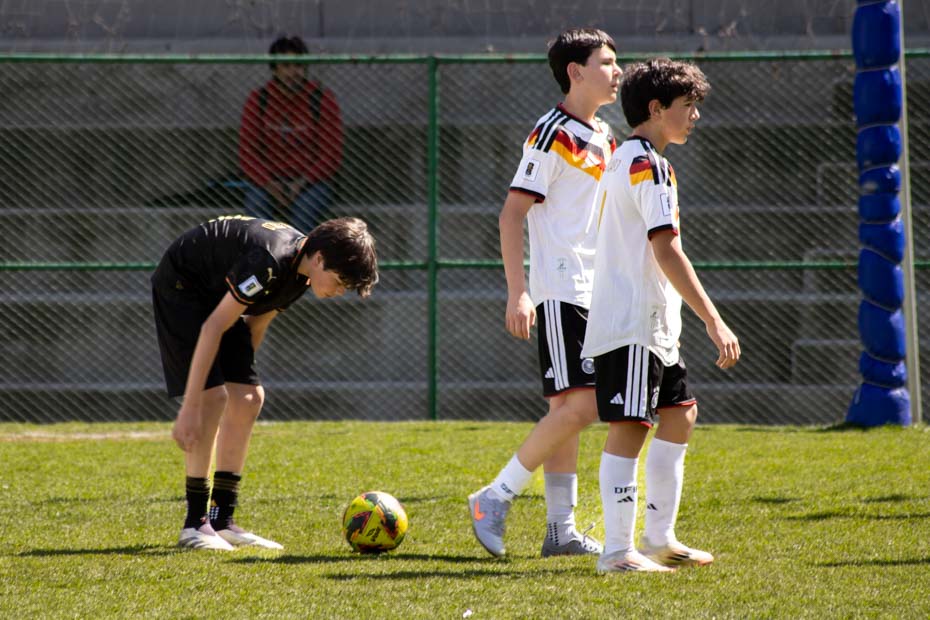 Ir a la Siguiente Foto