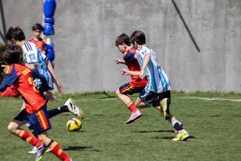 Ir a la Siguiente Foto