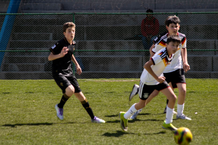 Ir a la Siguiente Foto