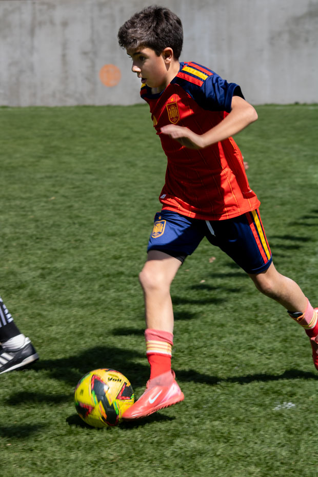 Ir a la Siguiente Foto