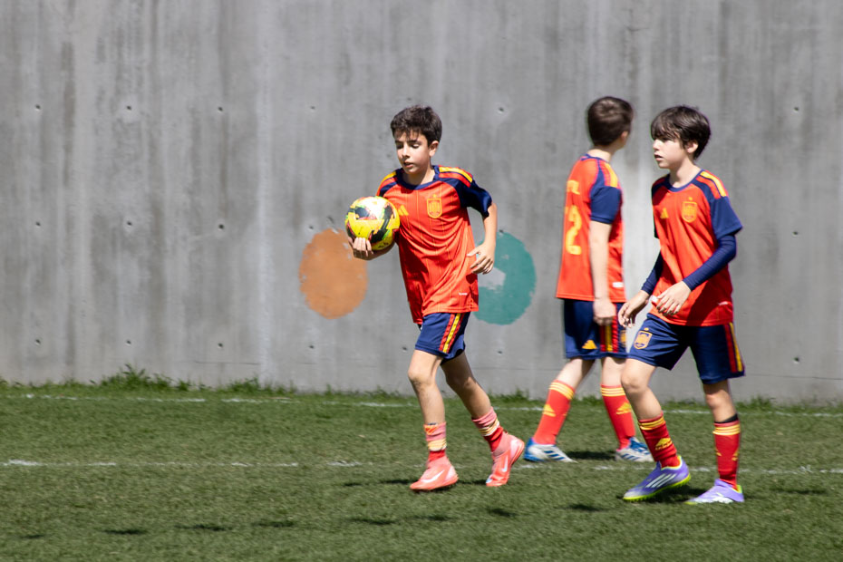 Ir a la Siguiente Foto