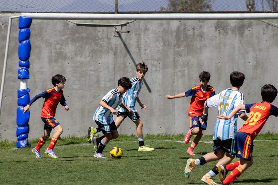 Ir a la Siguiente Foto