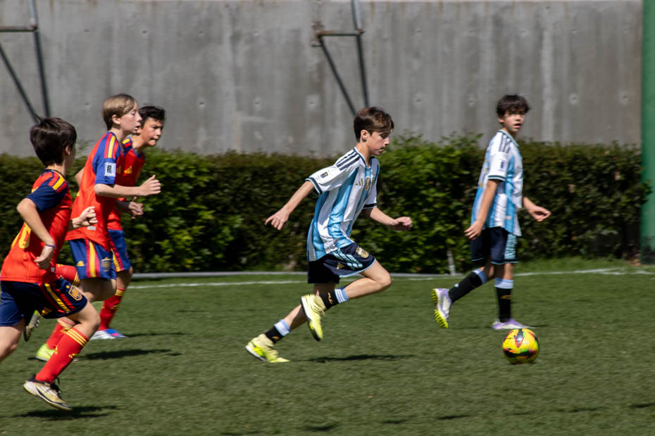 Ir a la Siguiente Foto