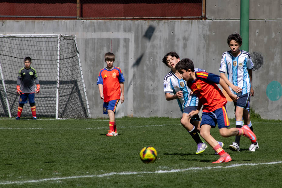 Ir a la Siguiente Foto