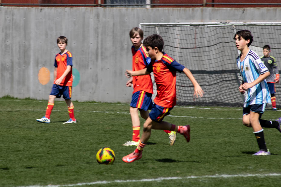 Ir a la Siguiente Foto