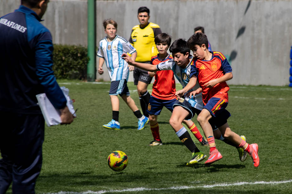 Ir a la Siguiente Foto