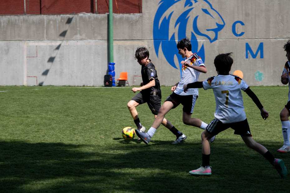 Ir a la Siguiente Foto