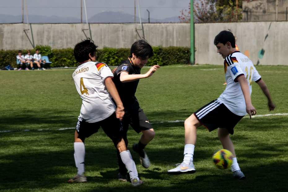 Ir a la Siguiente Foto