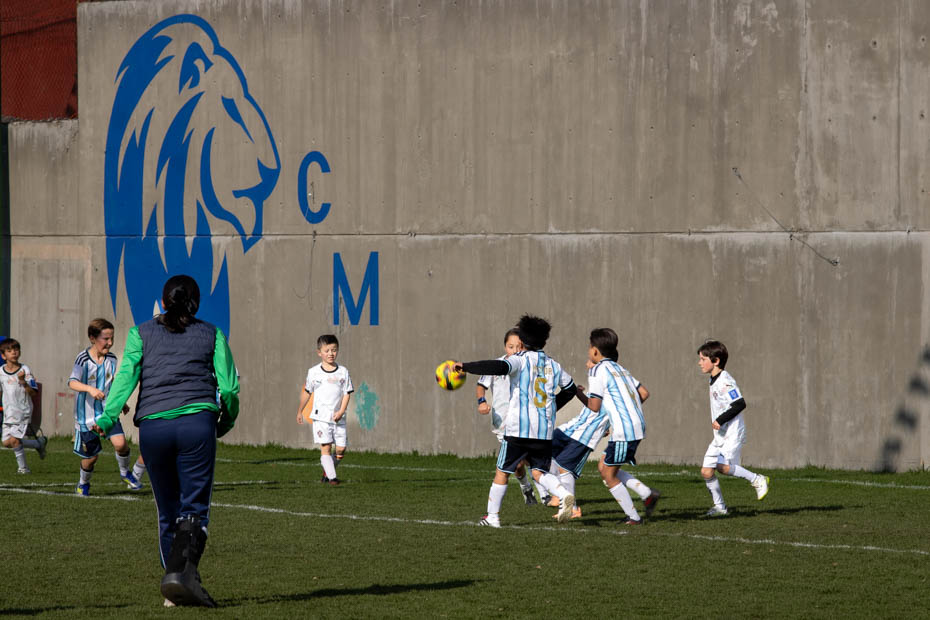 Ir a la Siguiente Foto