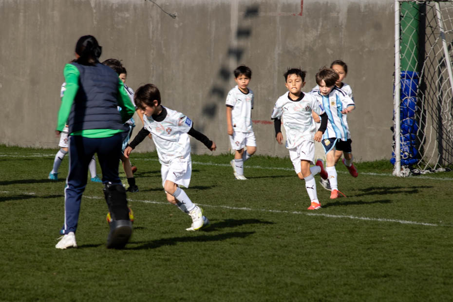 Ir a la Siguiente Foto