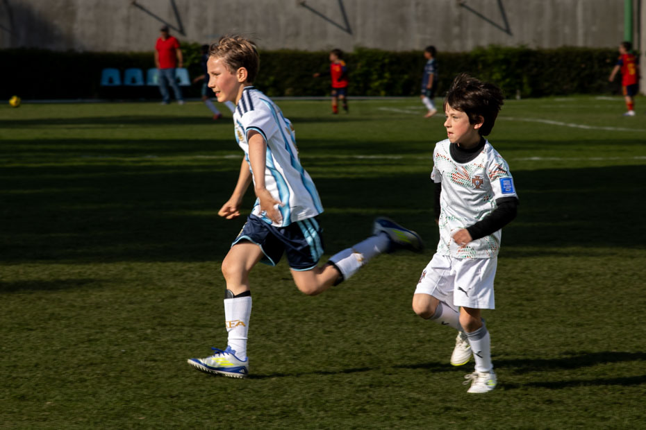 Ir a la Siguiente Foto