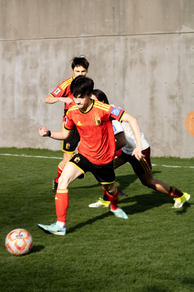 Ir a la Siguiente Foto