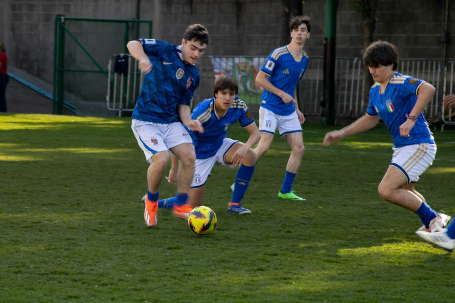 Ir a la Siguiente Foto