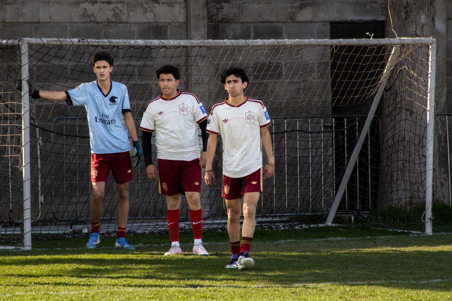 Ir a la Siguiente Foto