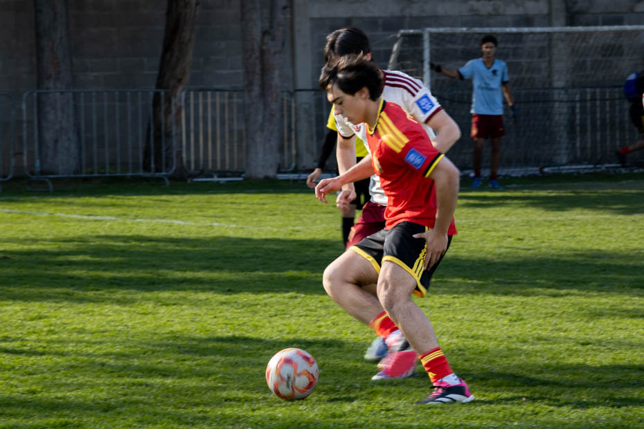 Ir a la Siguiente Foto