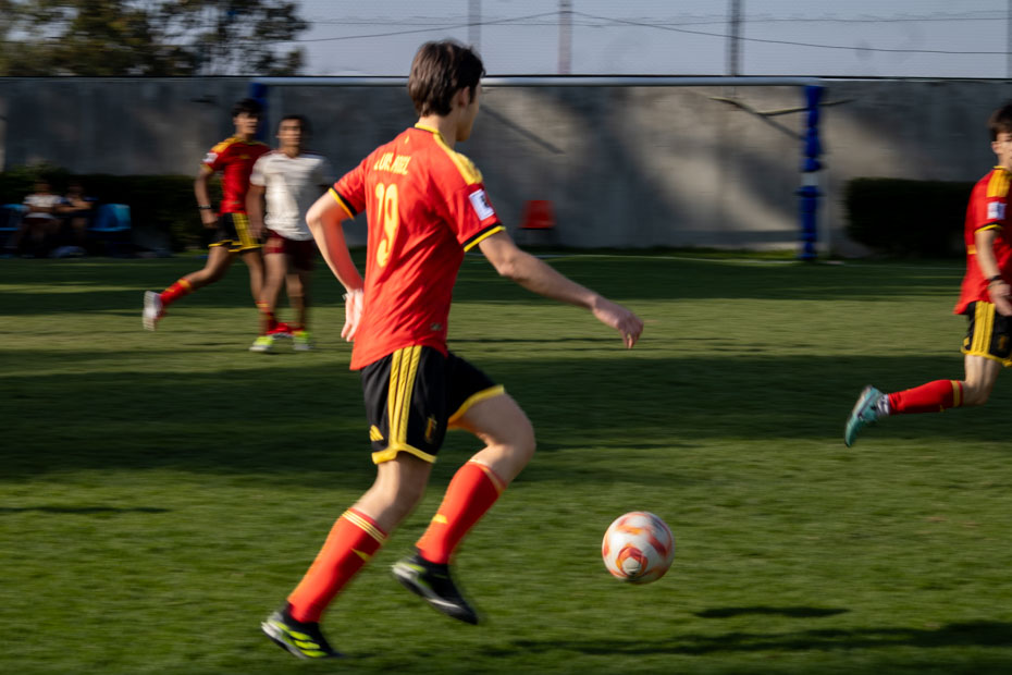 Ir a la Siguiente Foto