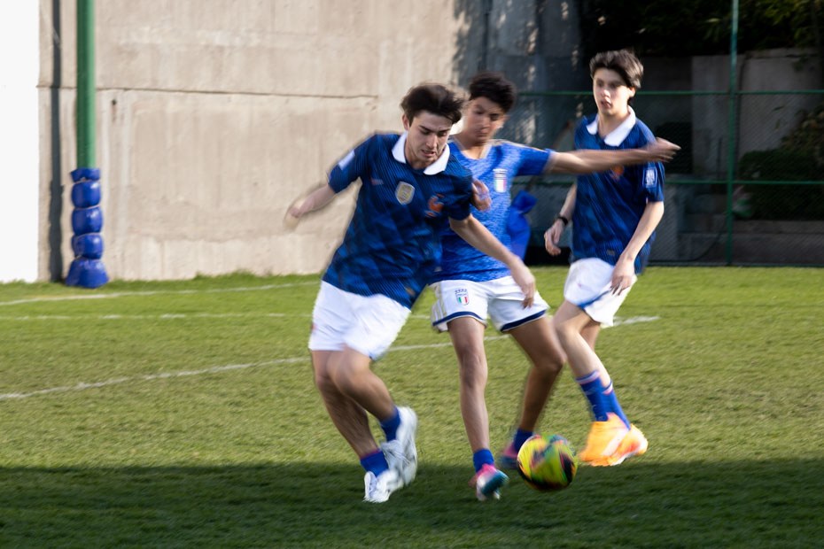 Ir a la Siguiente Foto