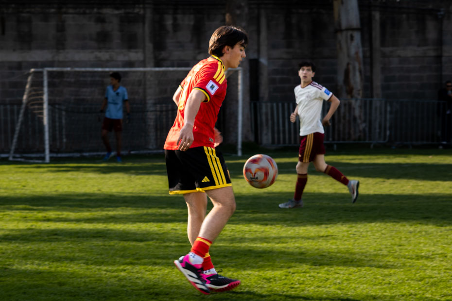 Ir a la Siguiente Foto