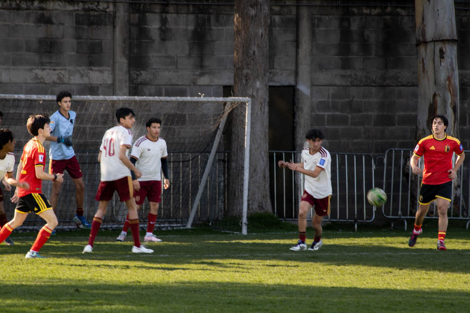 Ir a la Siguiente Foto