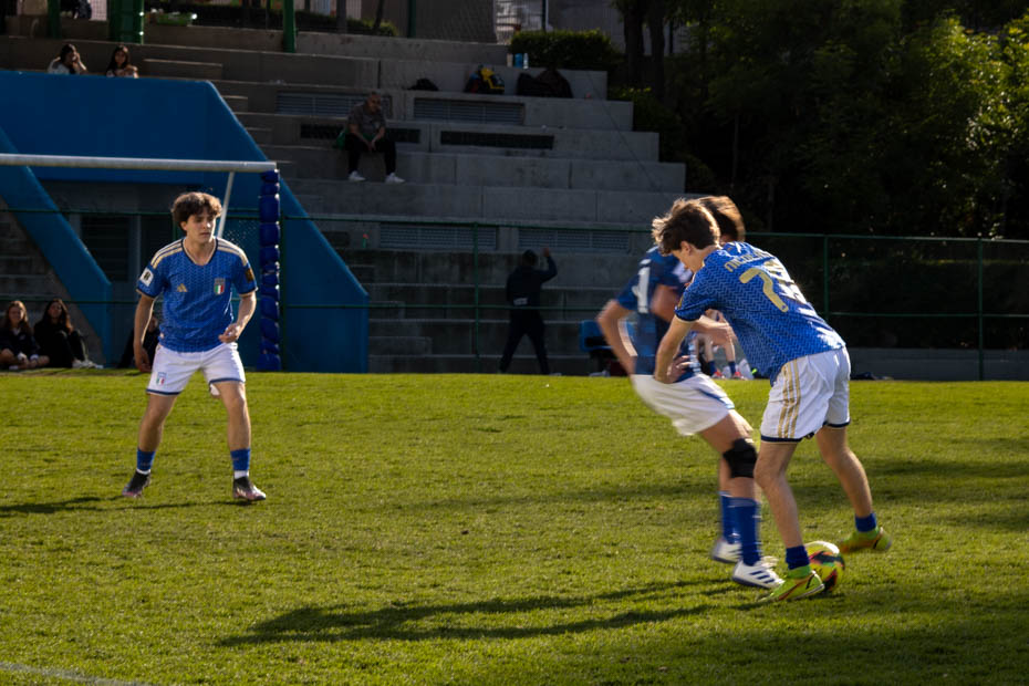 Ir a la Siguiente Foto