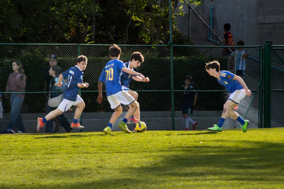 Ir a la Siguiente Foto