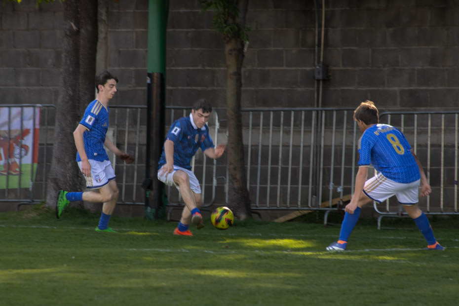 Ir a la Siguiente Foto