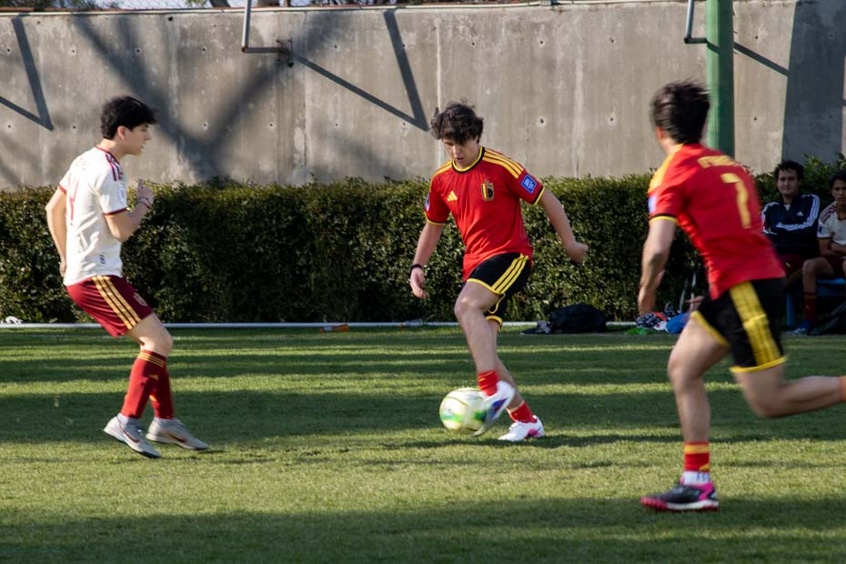 Ir a la Siguiente Foto