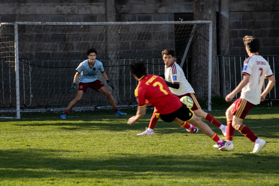 Ir a la Siguiente Foto