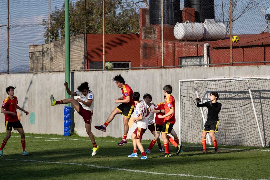 Ir a la Siguiente Foto