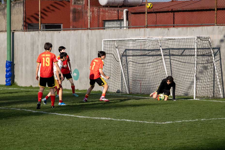 Ir a la Siguiente Foto