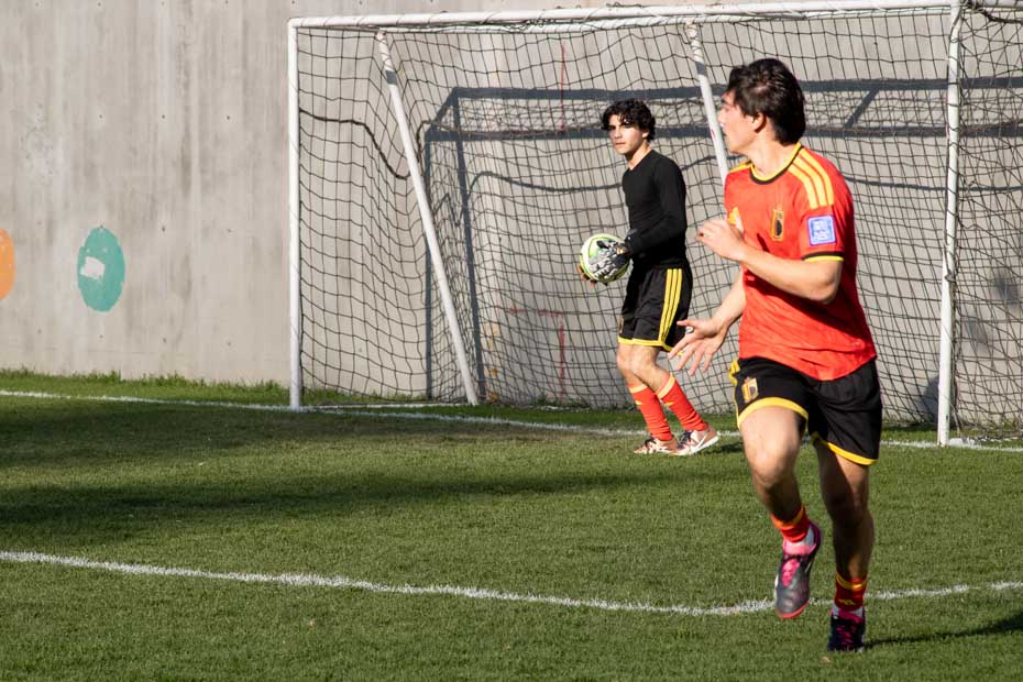 Ir a la Siguiente Foto