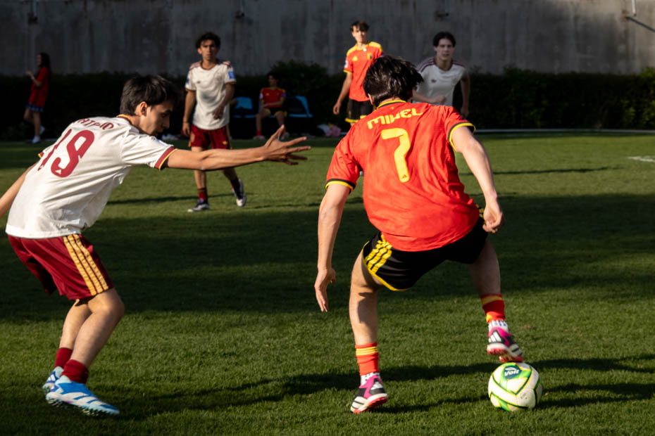 Ir a la Siguiente Foto